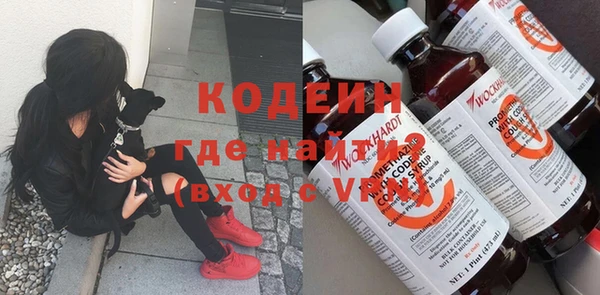 индика Алексин