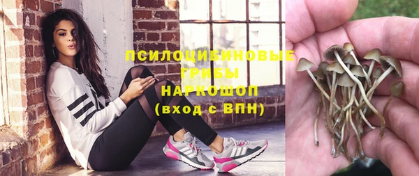 индика Алексин