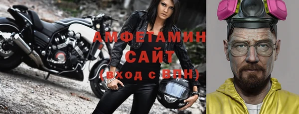 индика Алексин