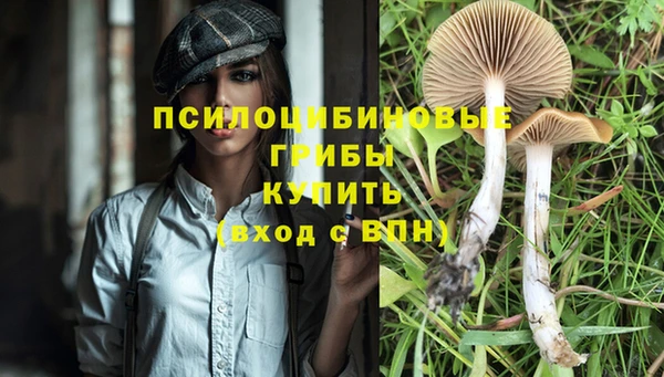 СК Алексеевка