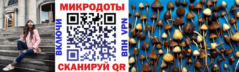 Псилоцибиновые грибы прущие грибы где продают Пустошка
