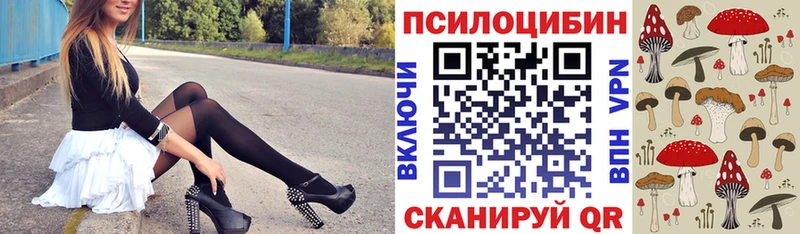 Псилоцибиновые грибы мицелий Пустошка